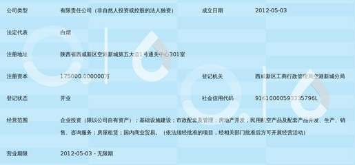 陕西省空港民航产业投资 机遇、路径与战略咨询